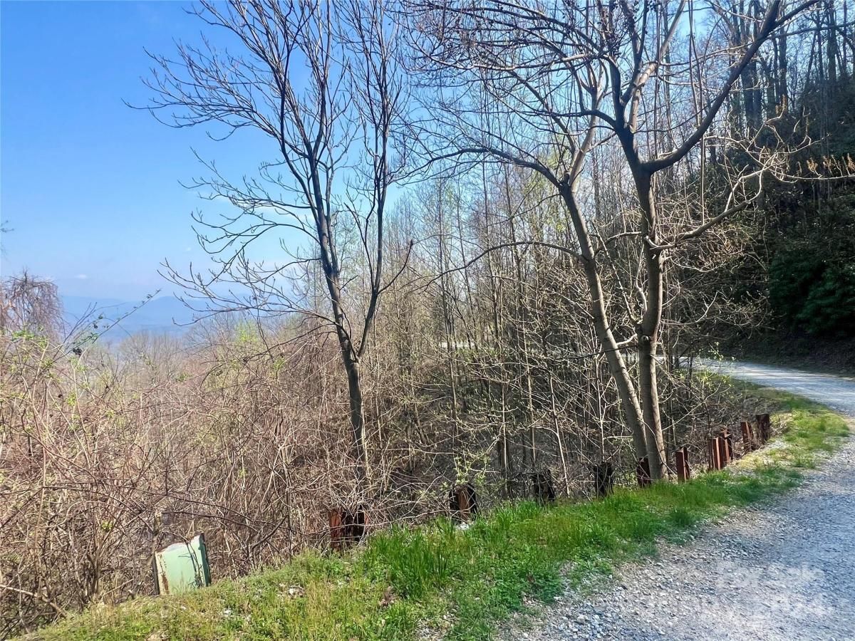 MLS #CAR4124901 image #6