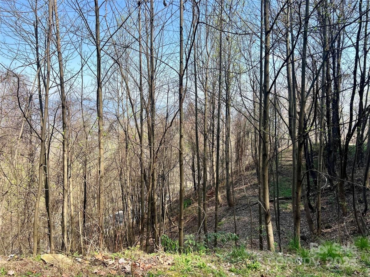 MLS #CAR4124901 image #7