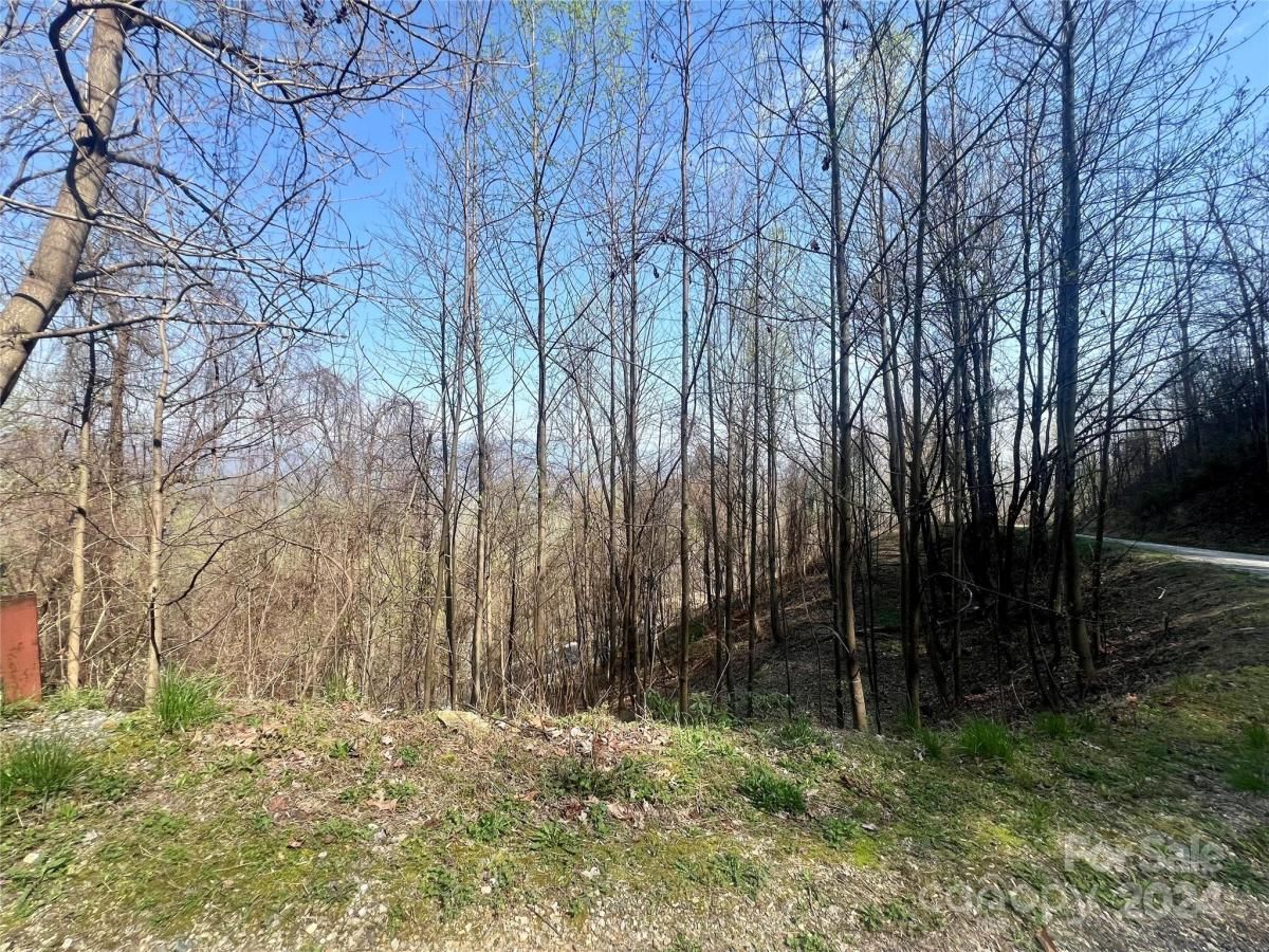 MLS #CAR4124901 image #8