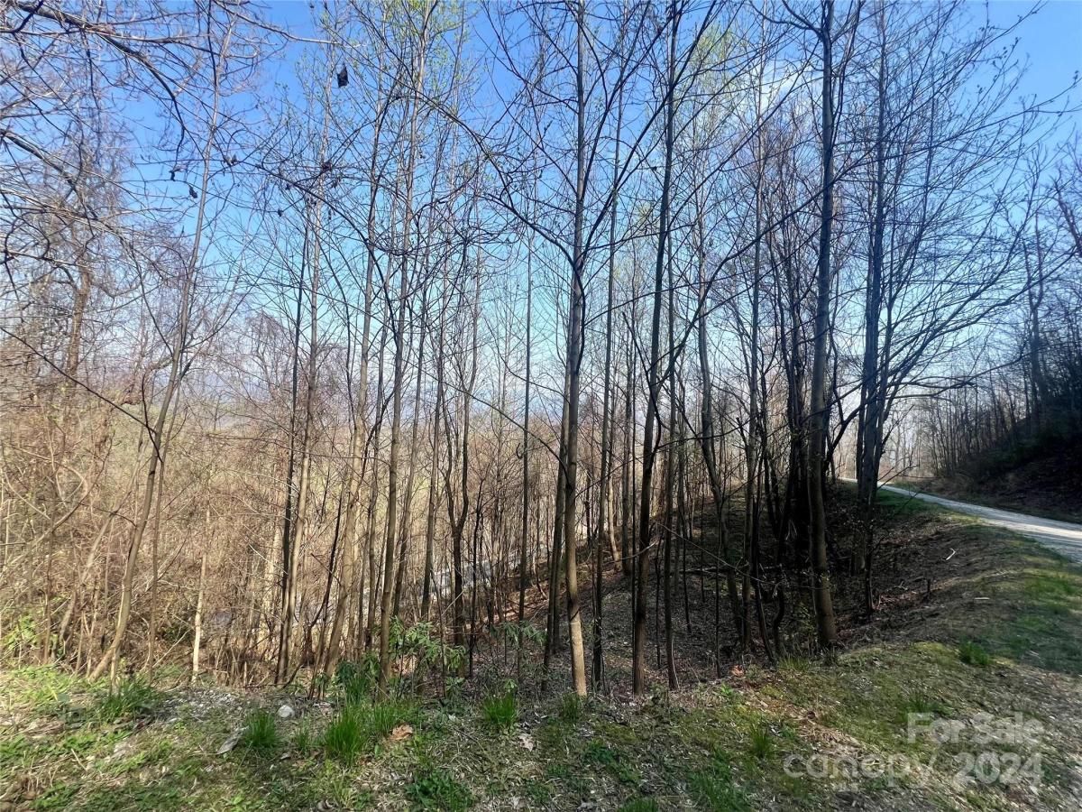 MLS #CAR4124901 image #9