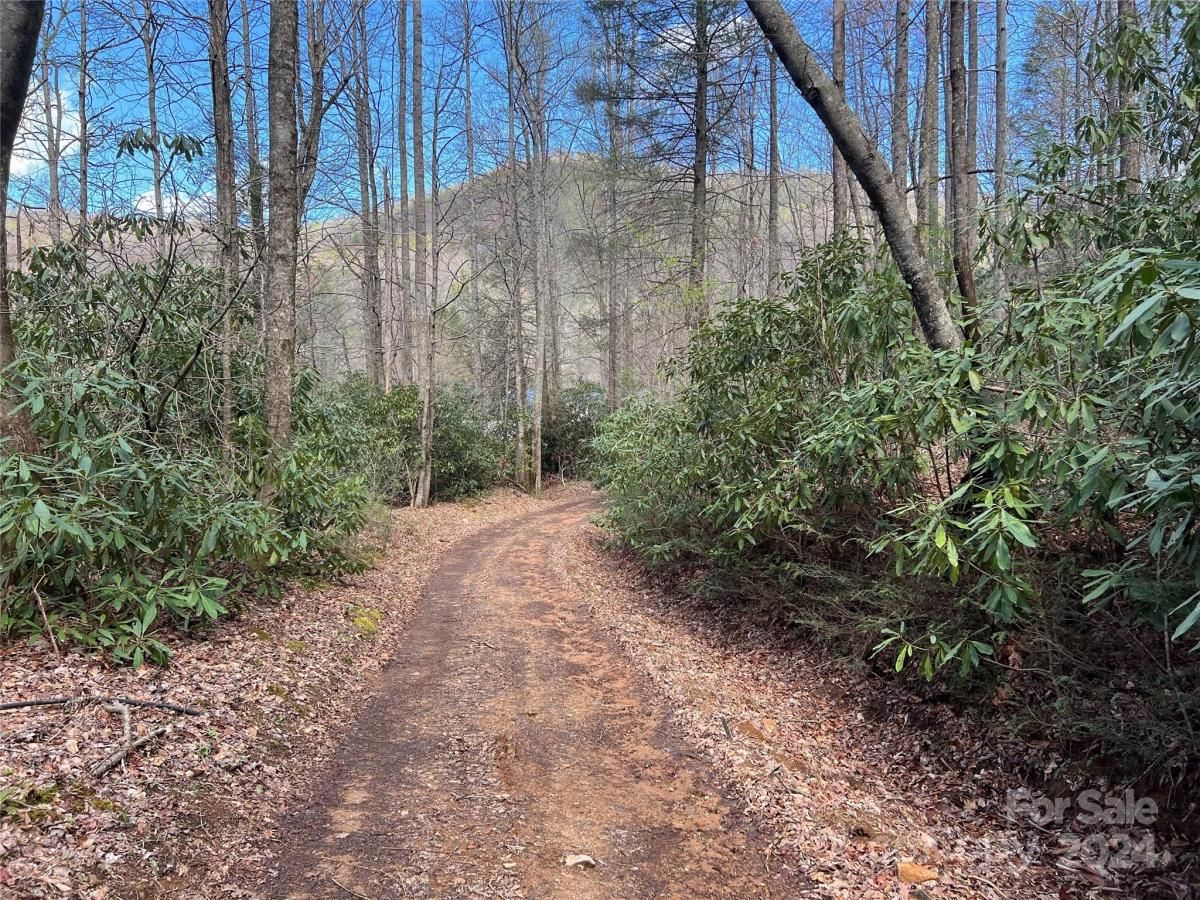 MLS #CAR4125688 image #0