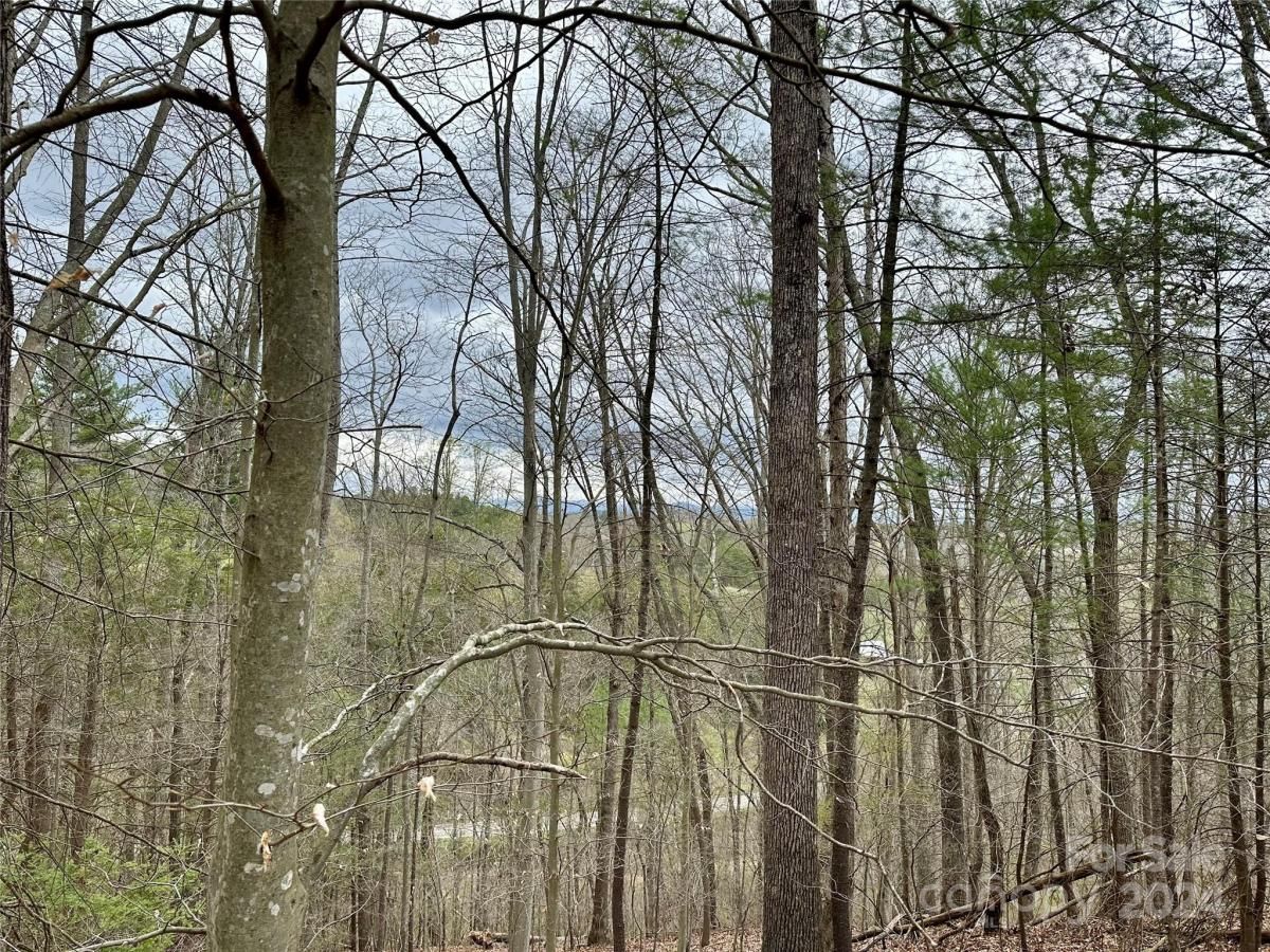 MLS #CAR4125692 image #10