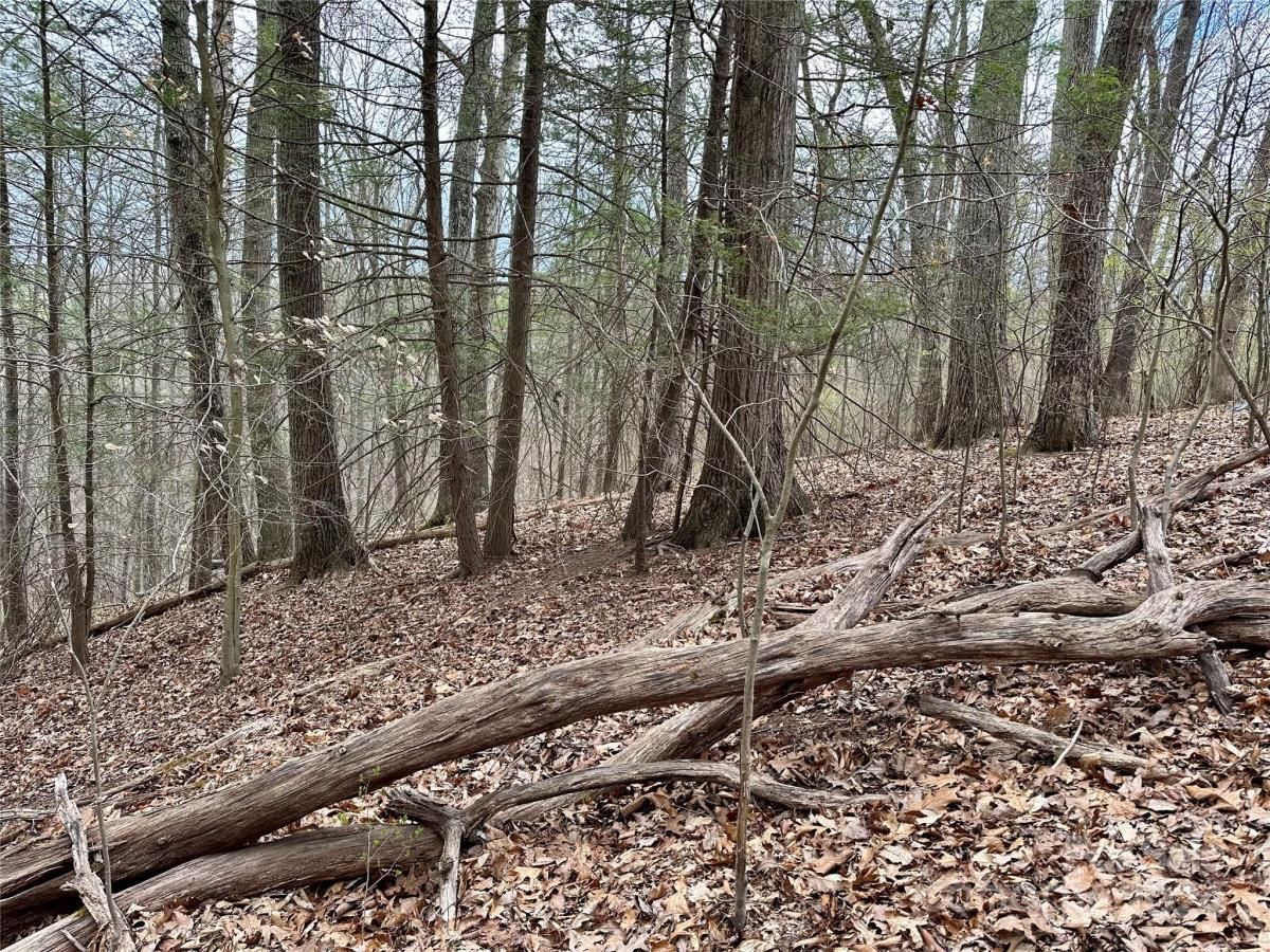 MLS #CAR4125692 image #11