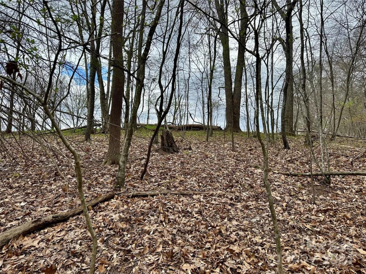 MLS #CAR4125692 image #12