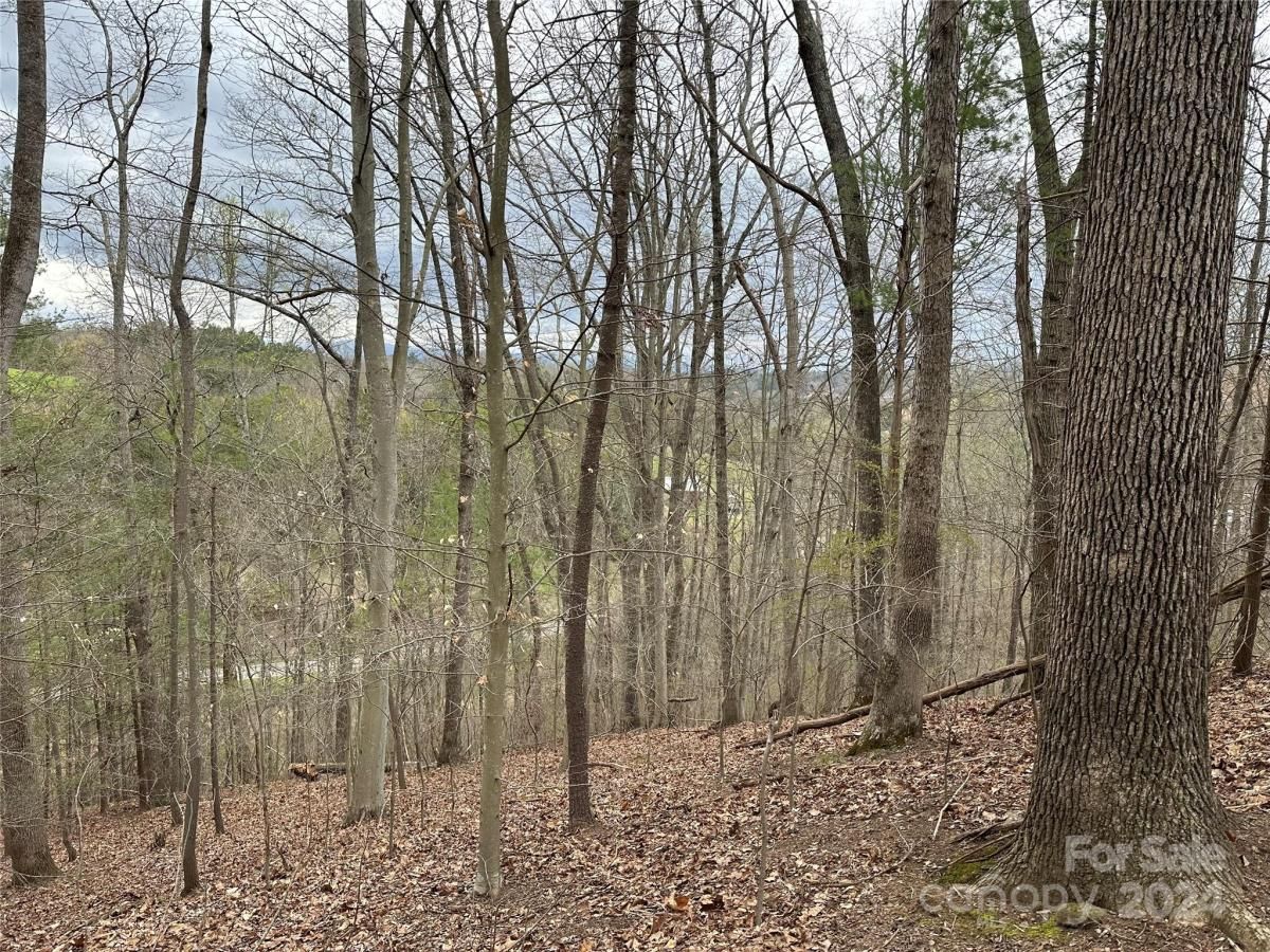 MLS #CAR4125692 image #13