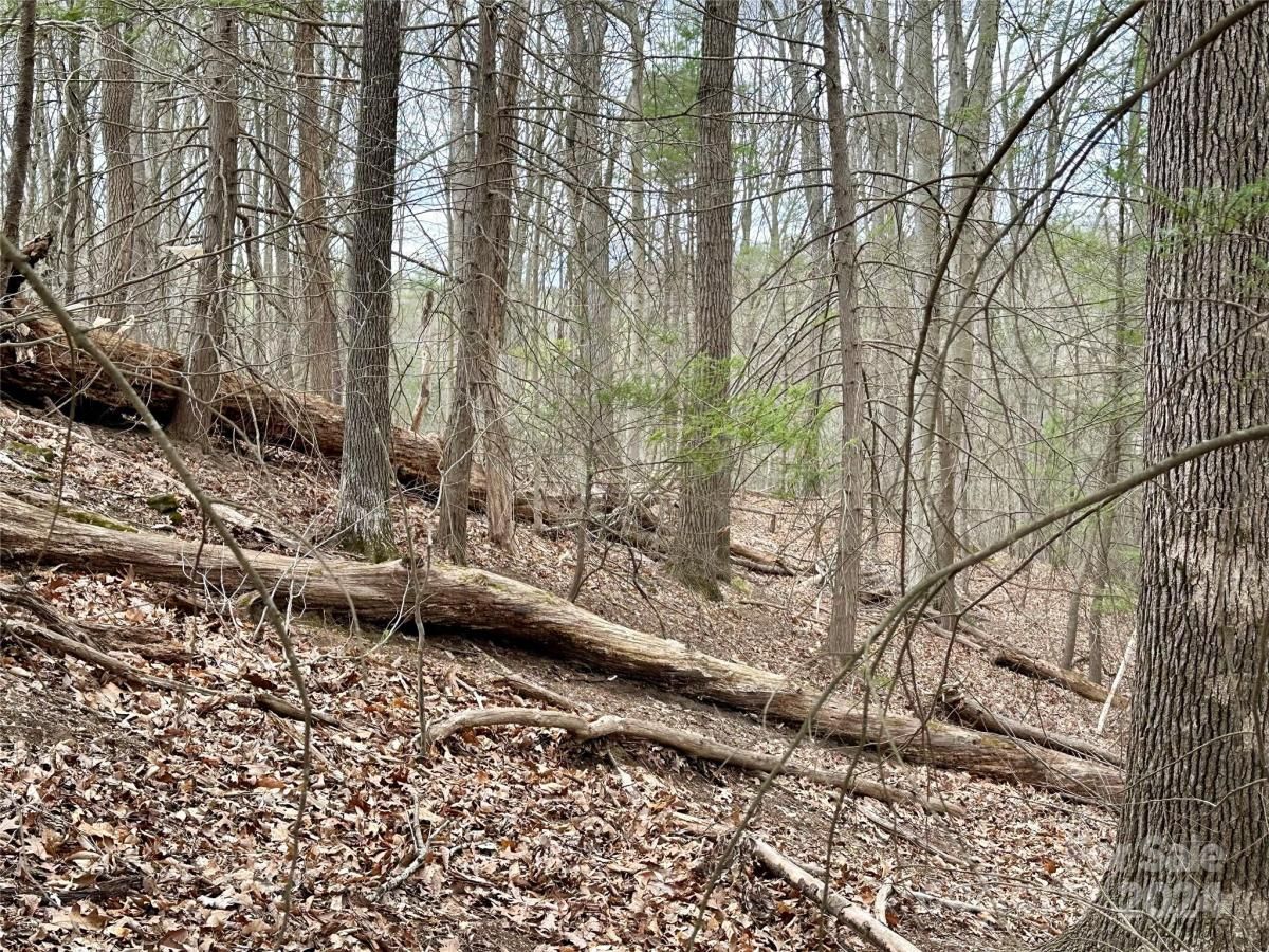 MLS #CAR4125692 image #15