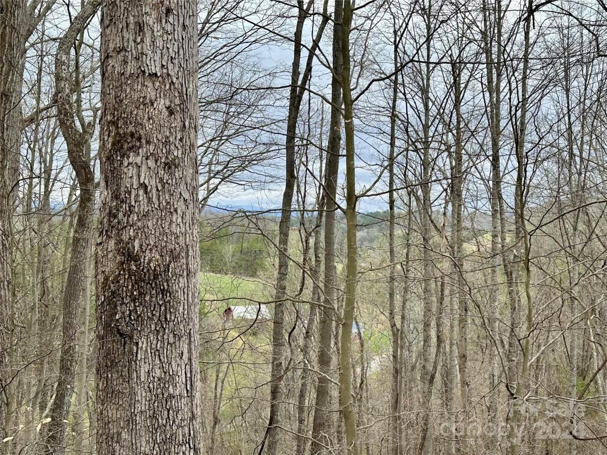 MLS #CAR4125692 image #16