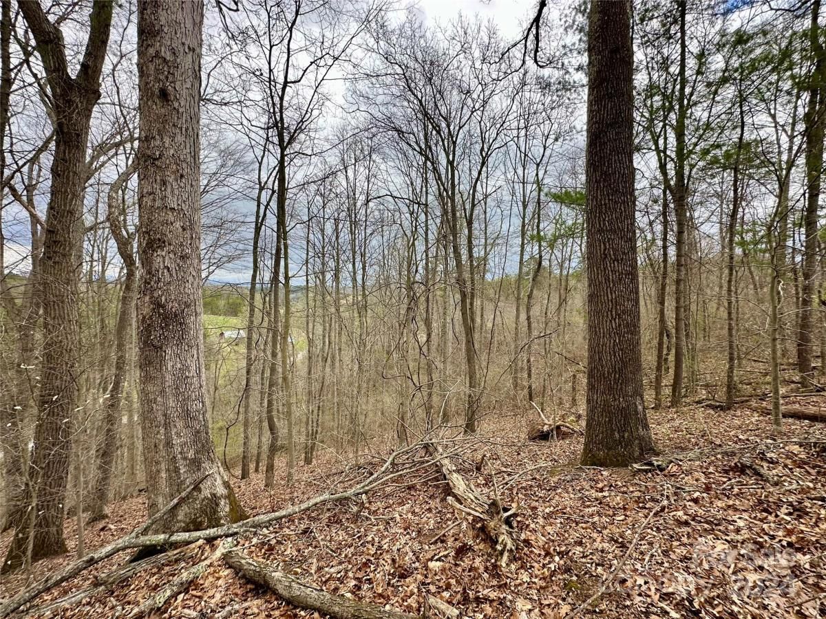 MLS #CAR4125692 image #17