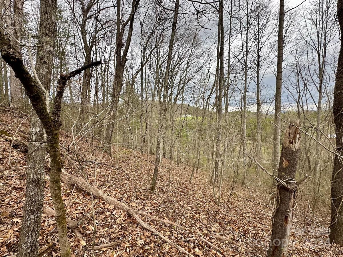 MLS #CAR4125692 image #18