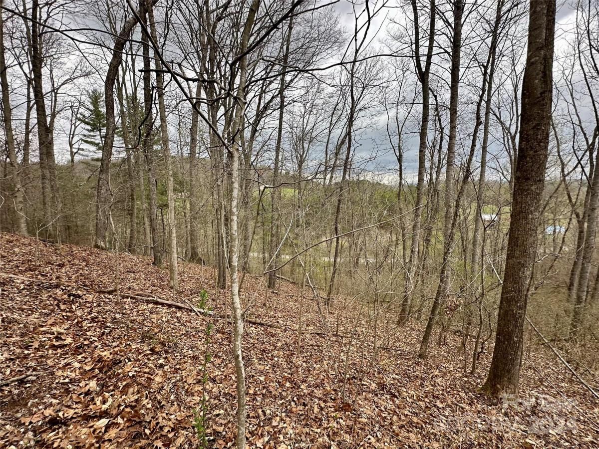 MLS #CAR4125692 image #19