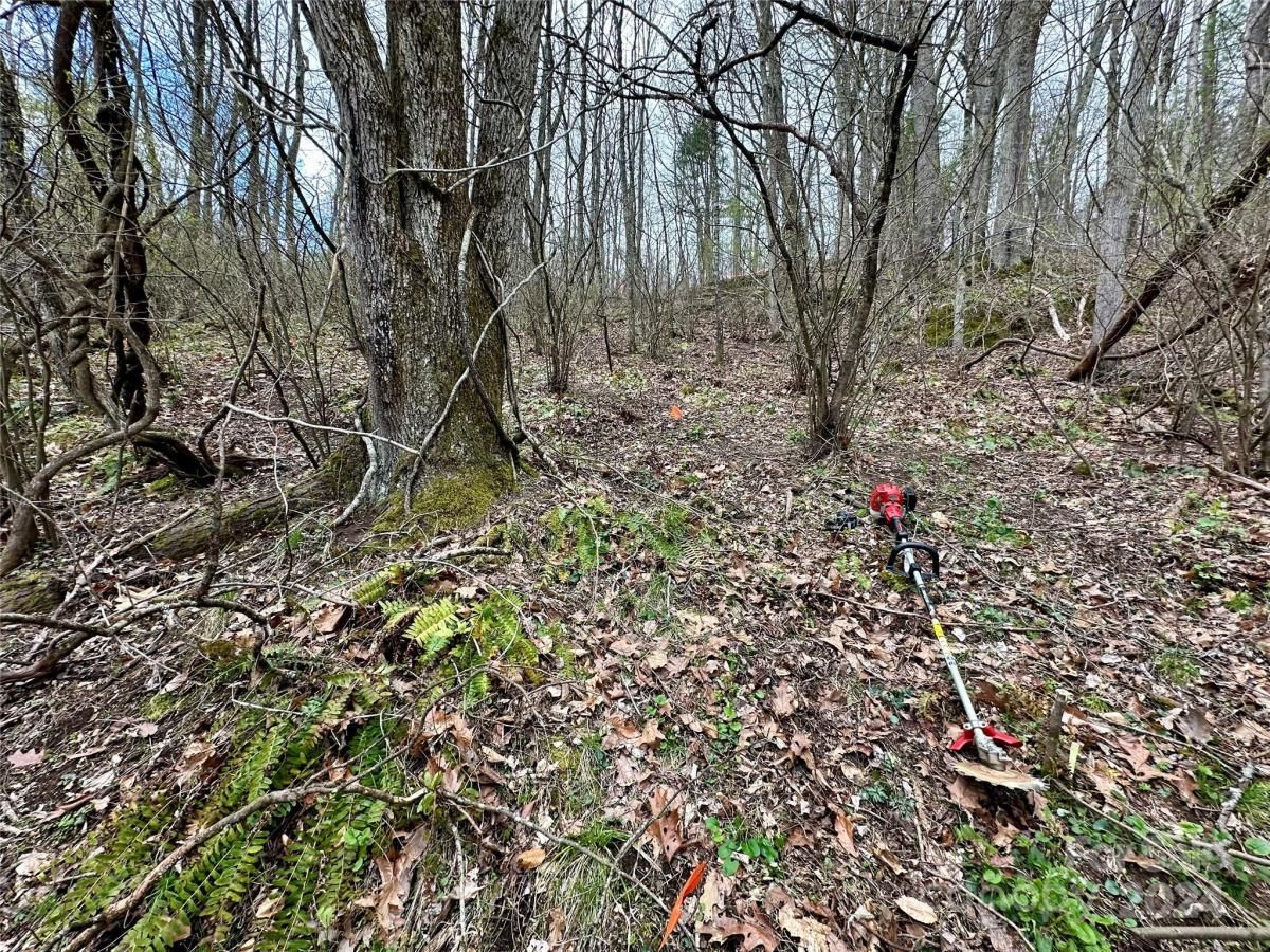 MLS #CAR4125692 image #2