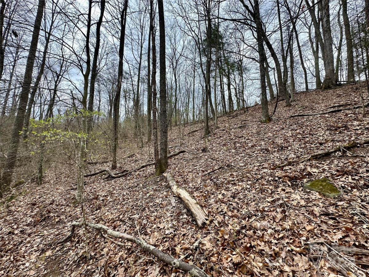 MLS #CAR4125692 image #20