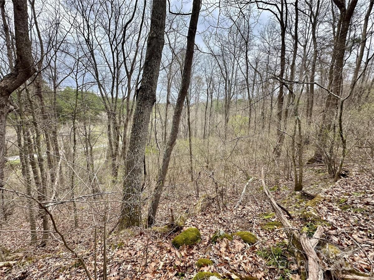 MLS #CAR4125692 image #21