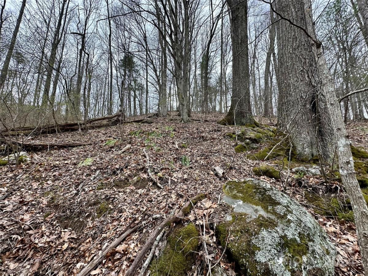 MLS #CAR4125692 image #23