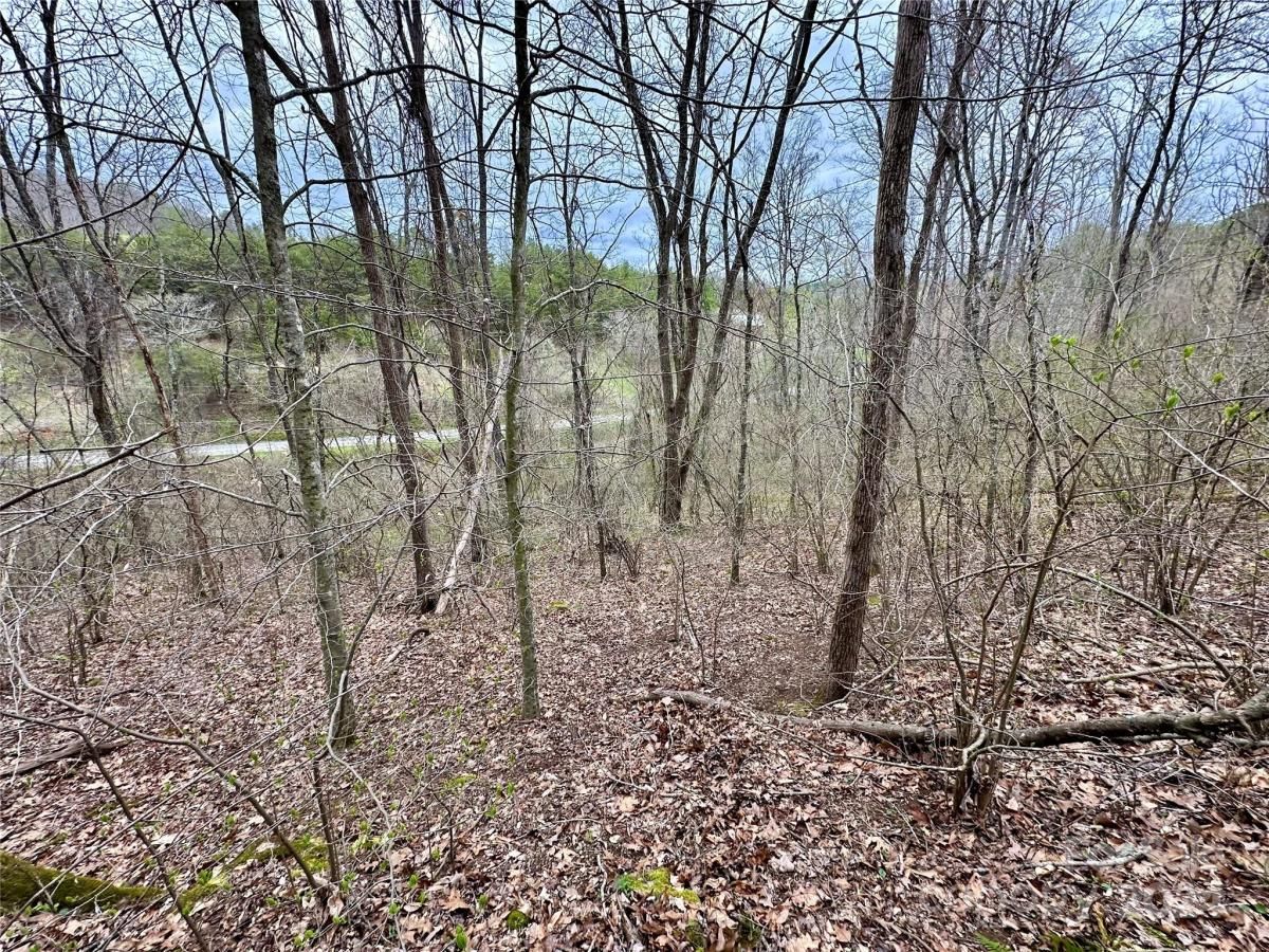 MLS #CAR4125692 image #24