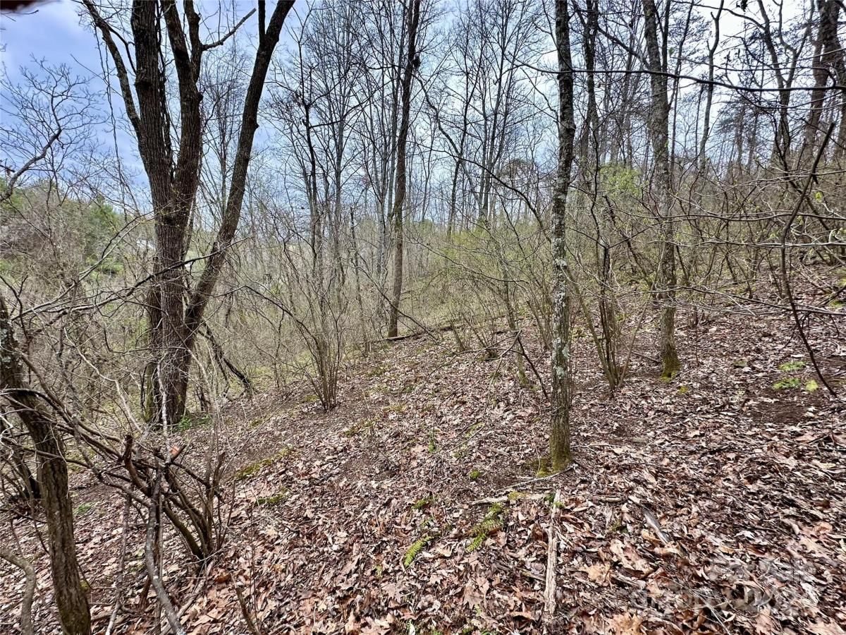 MLS #CAR4125692 image #25