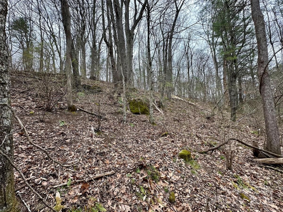 MLS #CAR4125692 image #26