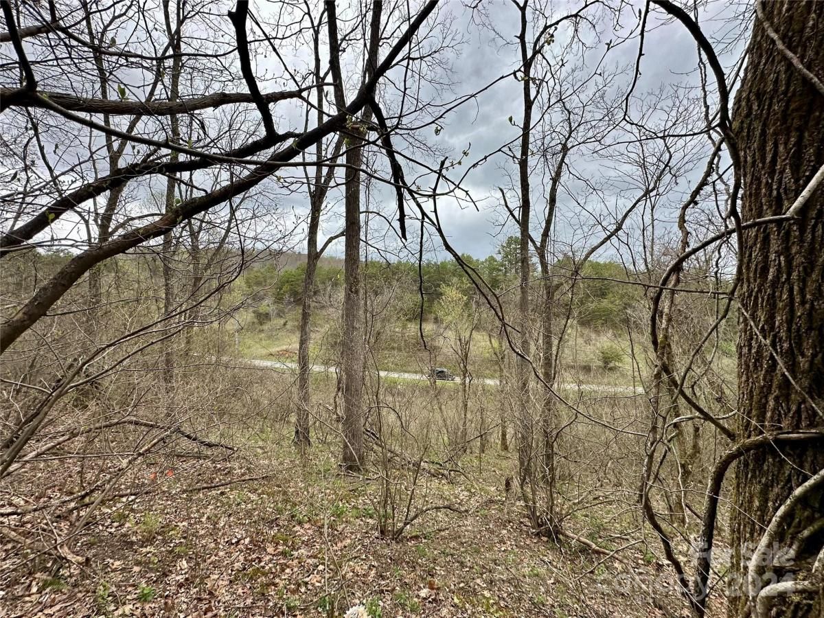 MLS #CAR4125692 image #27