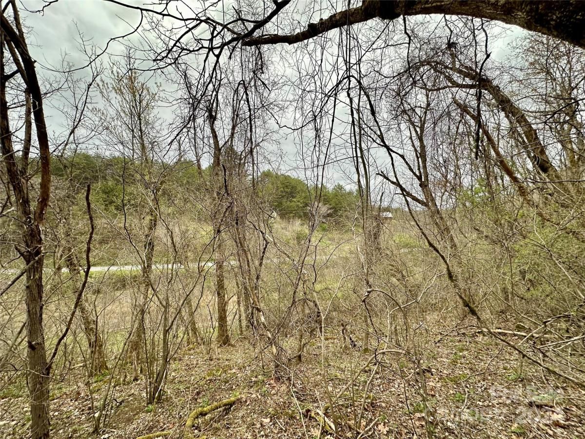 MLS #CAR4125692 image #28