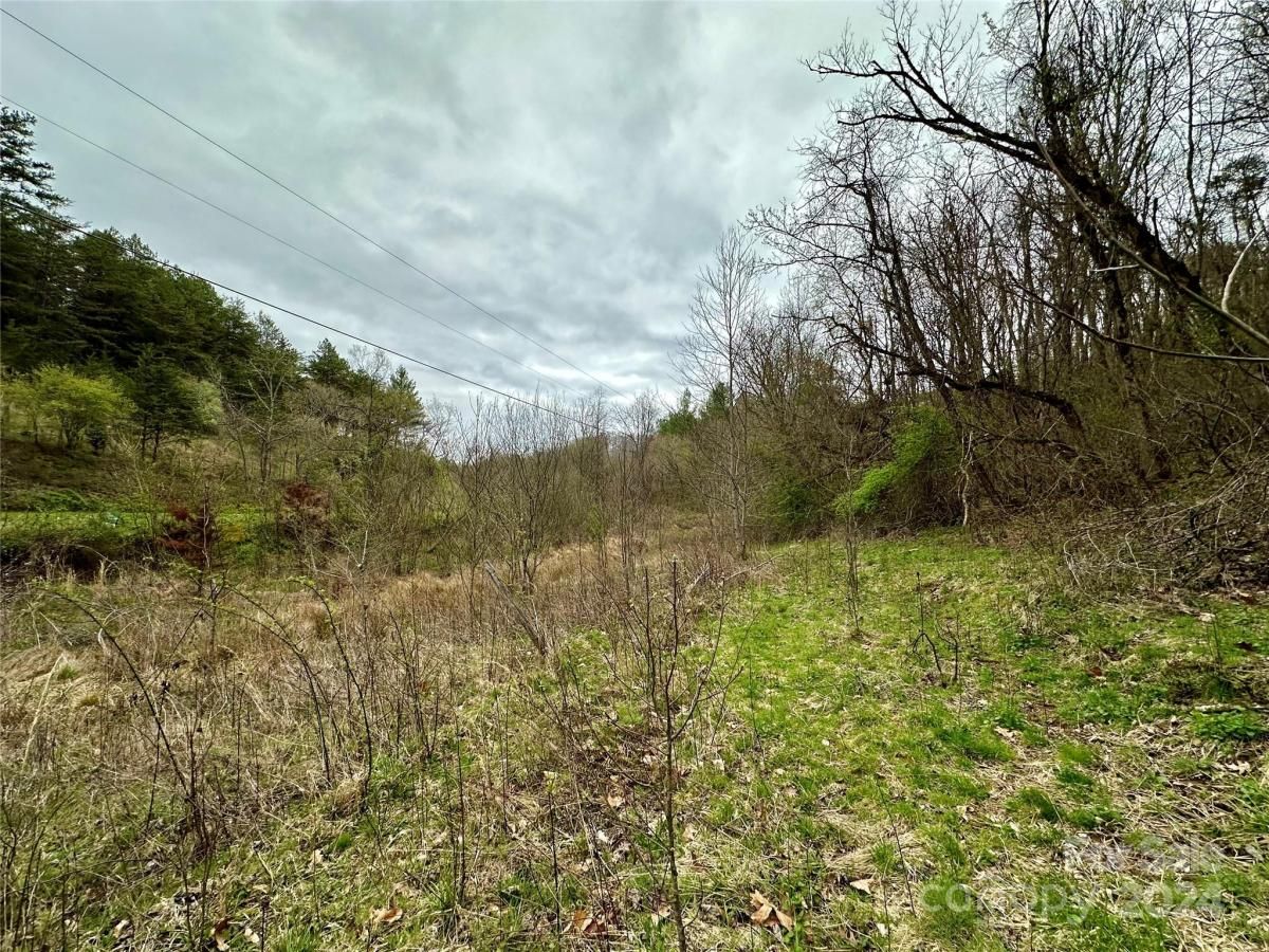 MLS #CAR4125692 image #29