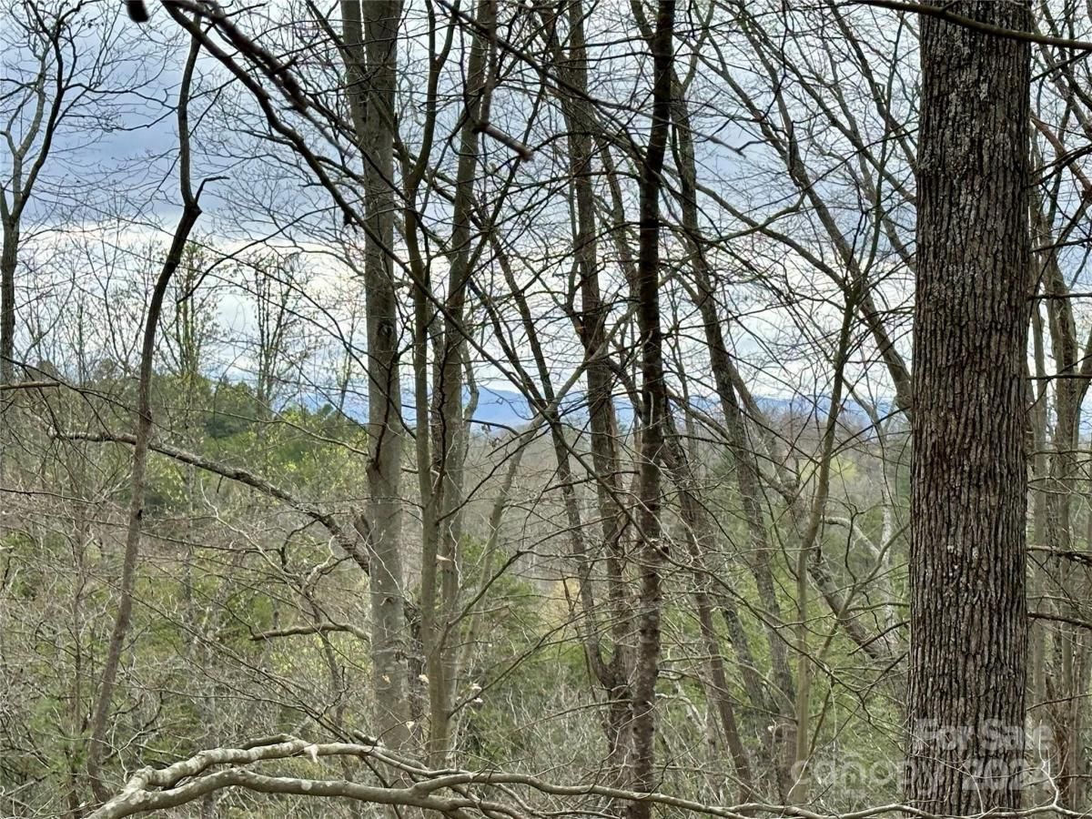 MLS #CAR4125692 image #3