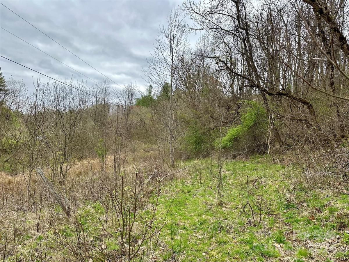 MLS #CAR4125692 image #30