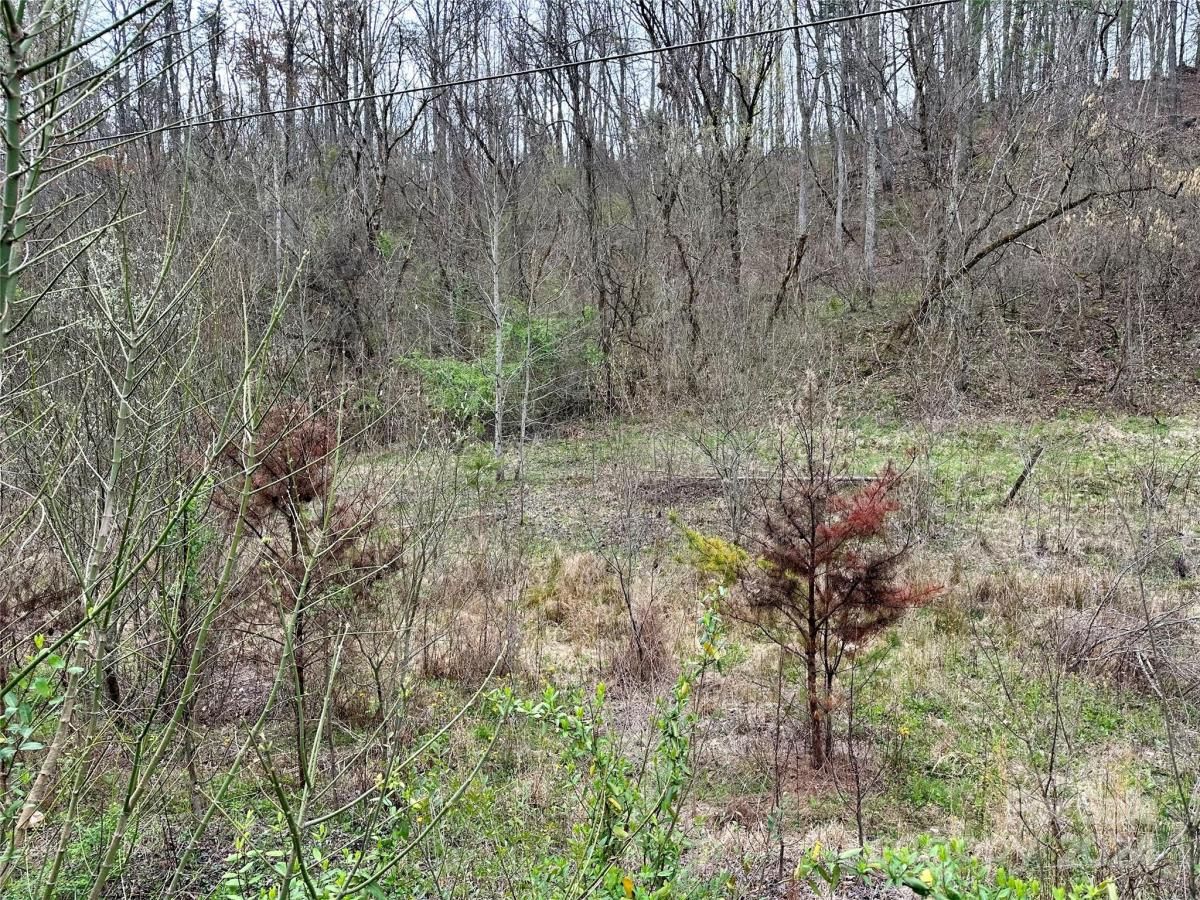 MLS #CAR4125692 image #31