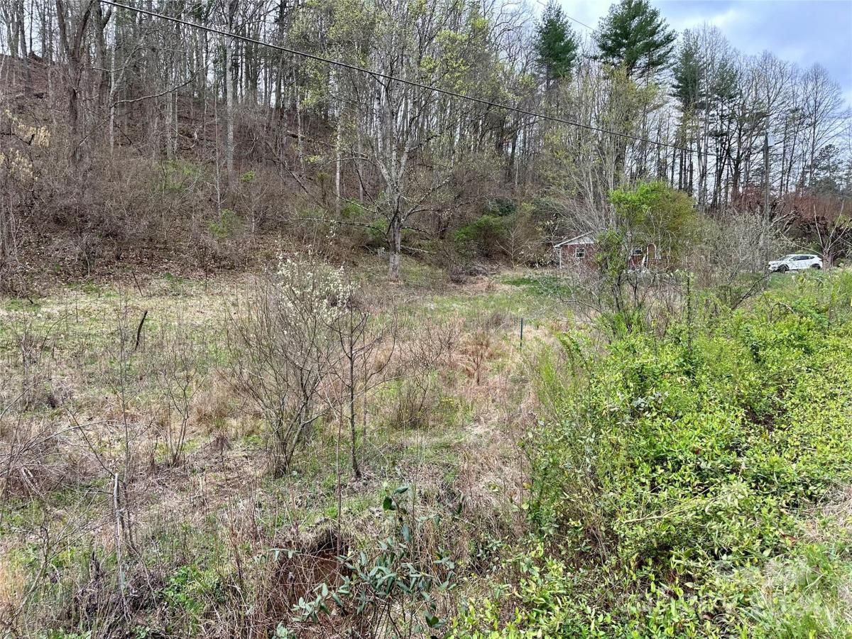 MLS #CAR4125692 image #32