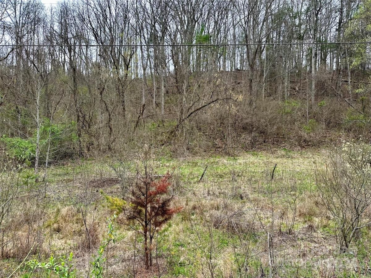 MLS #CAR4125692 image #33