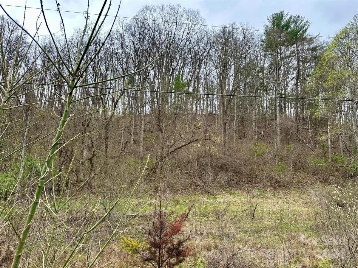 MLS #CAR4125692 image #34