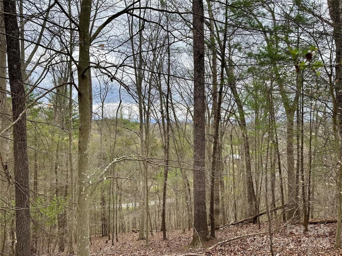 MLS #CAR4125692 image #4