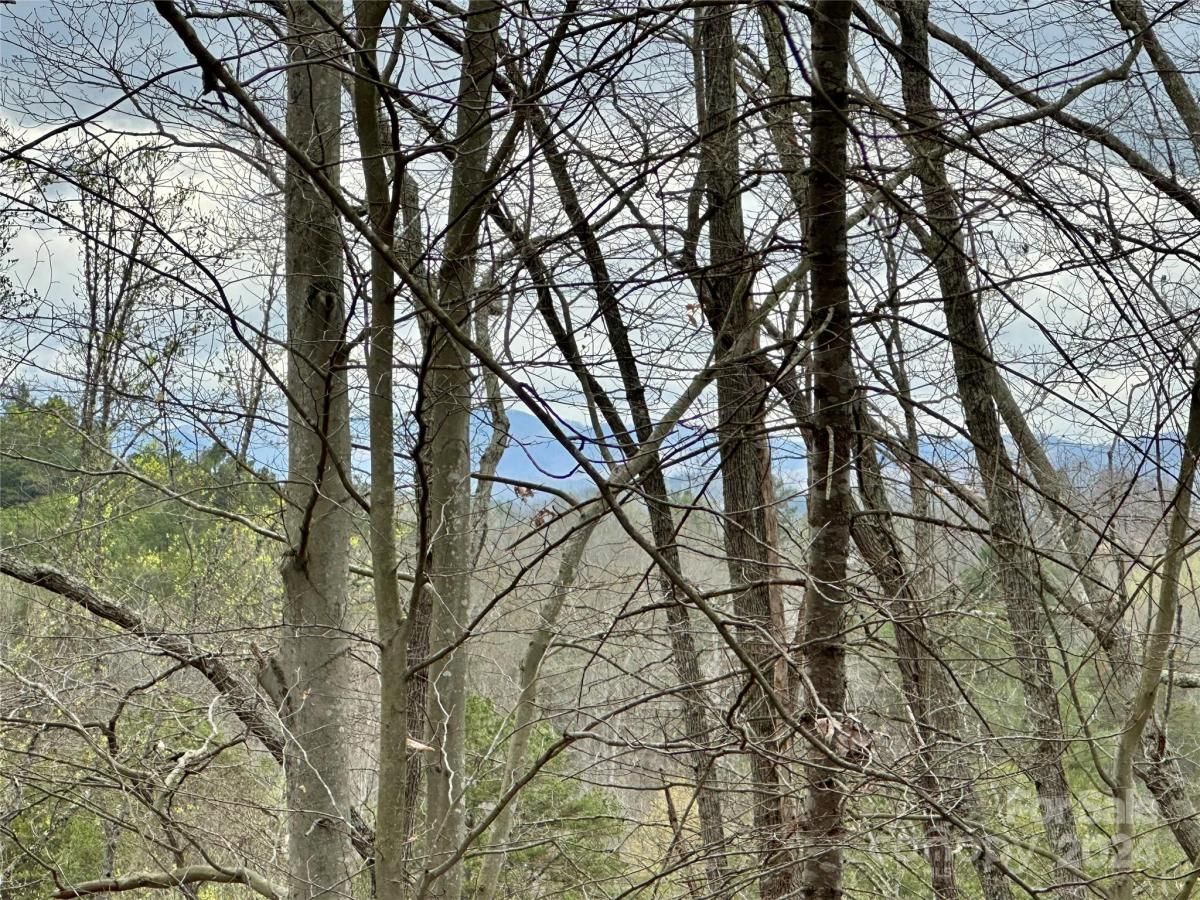 MLS #CAR4125692 image #5