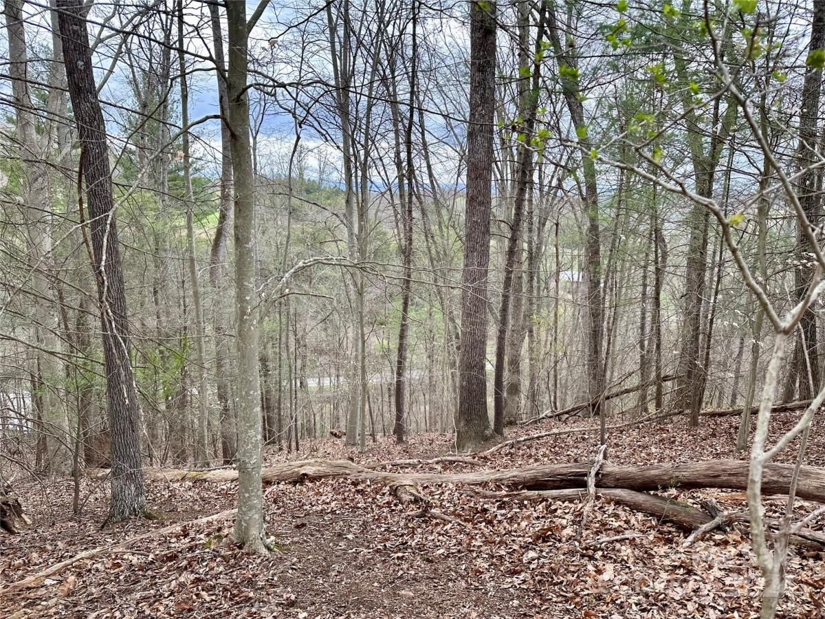 MLS #CAR4125692 image #6