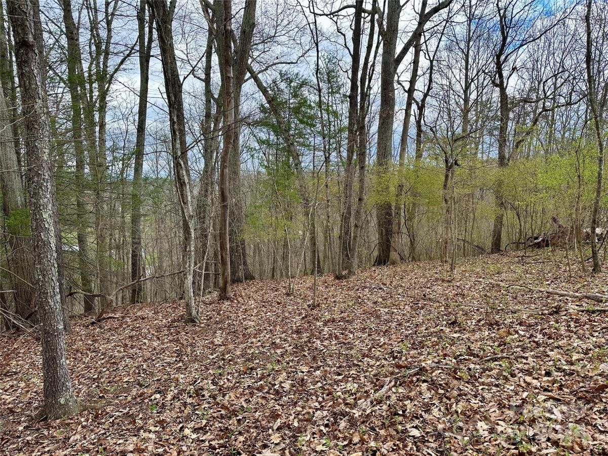 MLS #CAR4125692 image #7