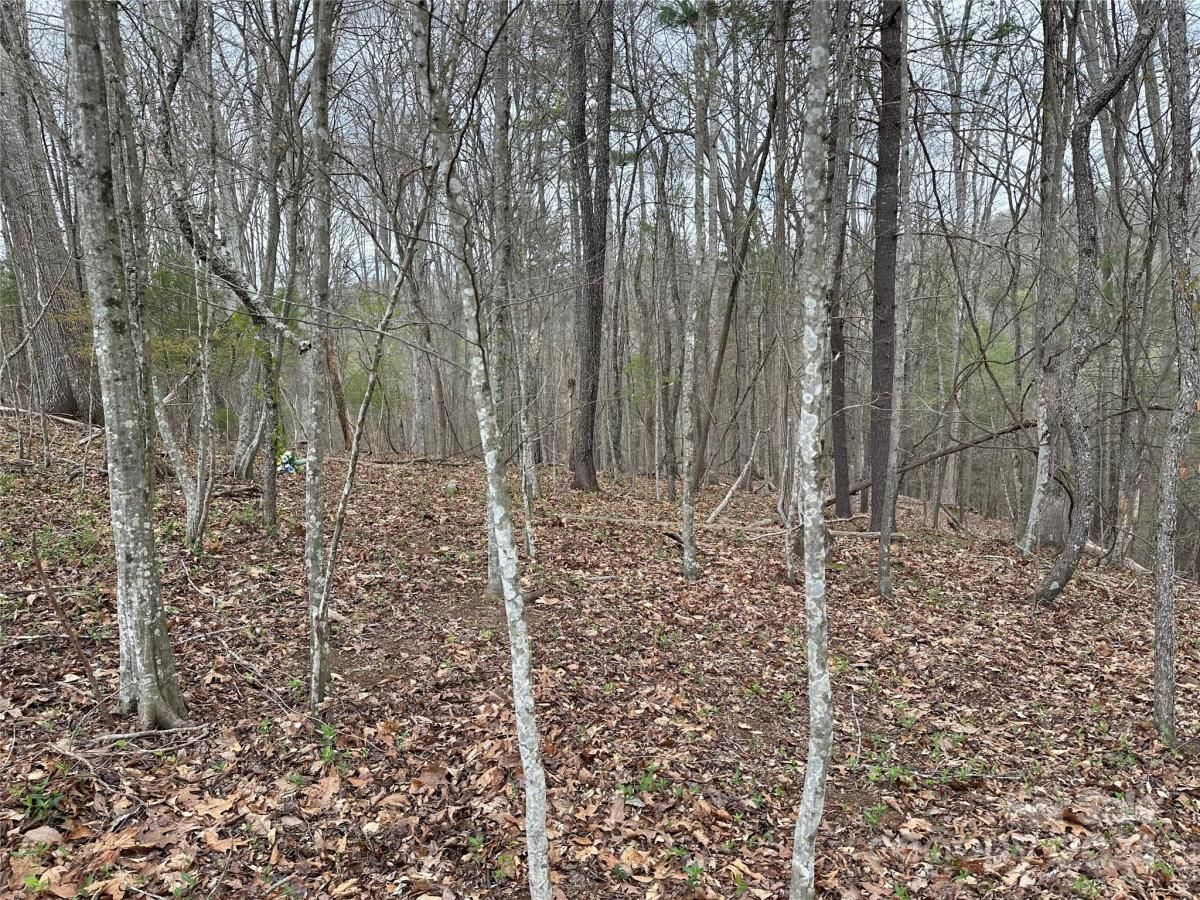 MLS #CAR4125692 image #8