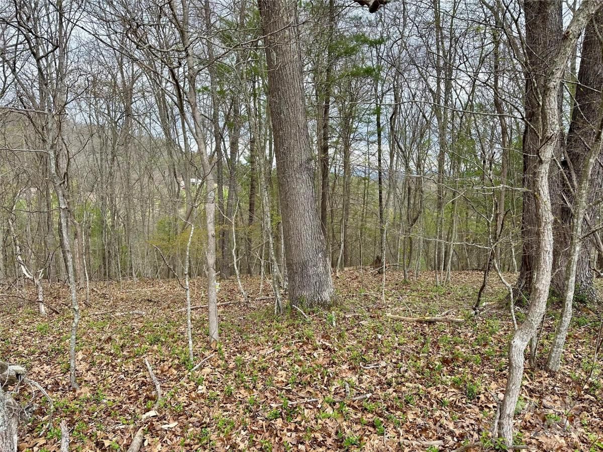 MLS #CAR4125692 image #9