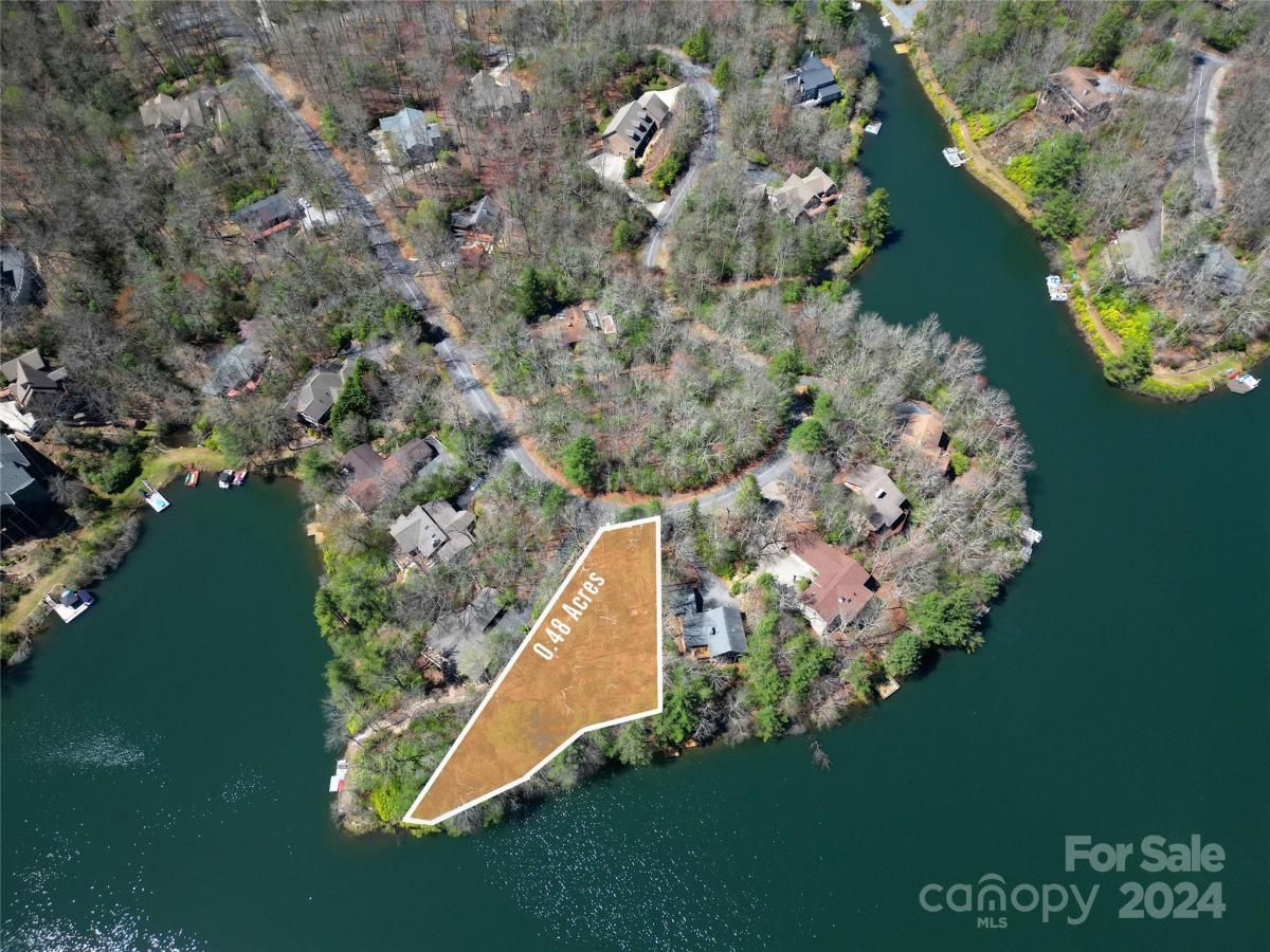 MLS #CAR4126249 image #5