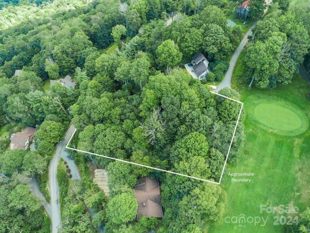 MLS #CAR4126526 image #10