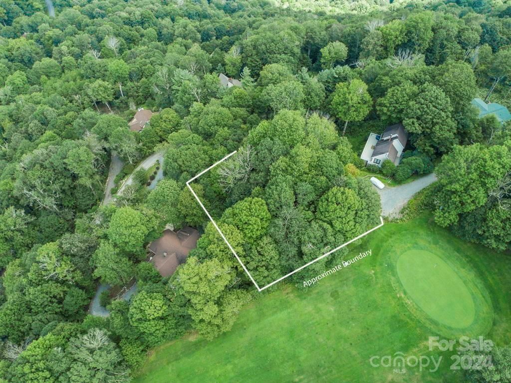 MLS #CAR4126526 image #11