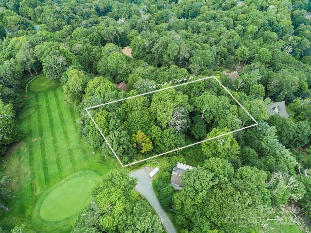 MLS #CAR4126526 image #12