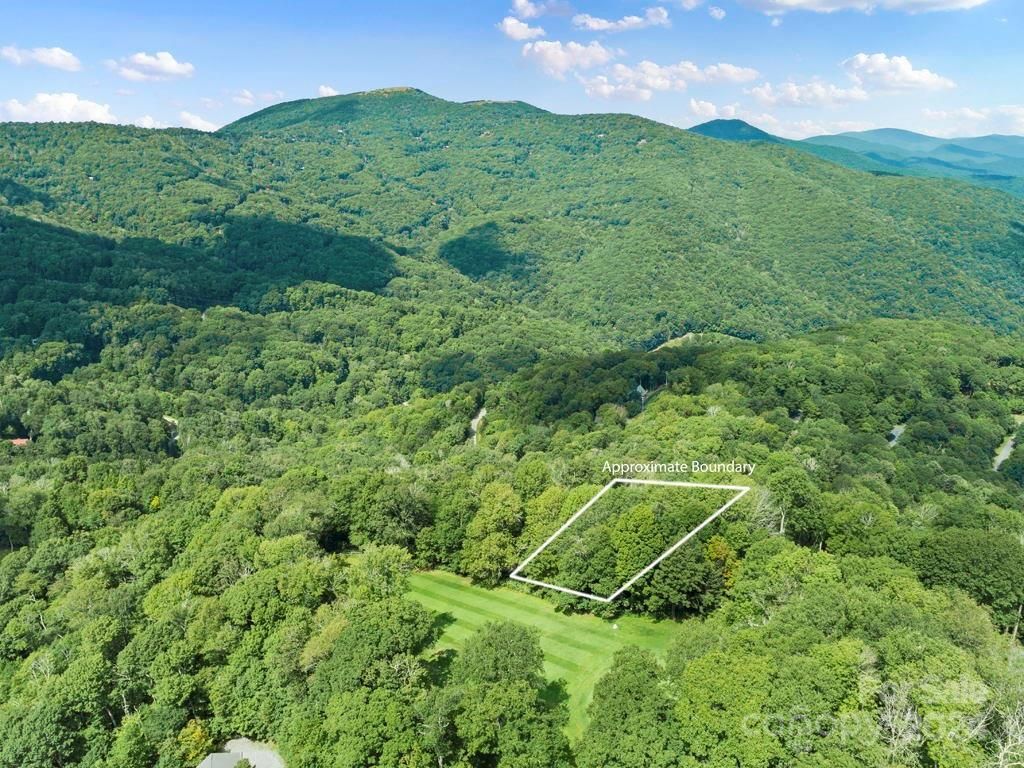 MLS #CAR4126526 image #3