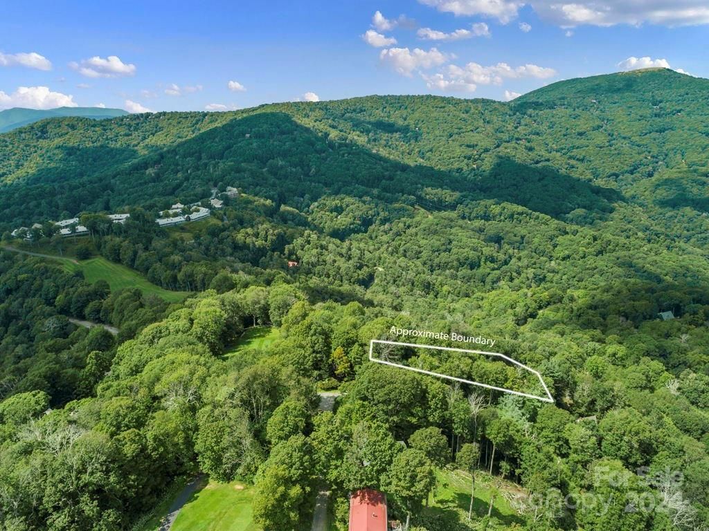 MLS #CAR4126526 image #4