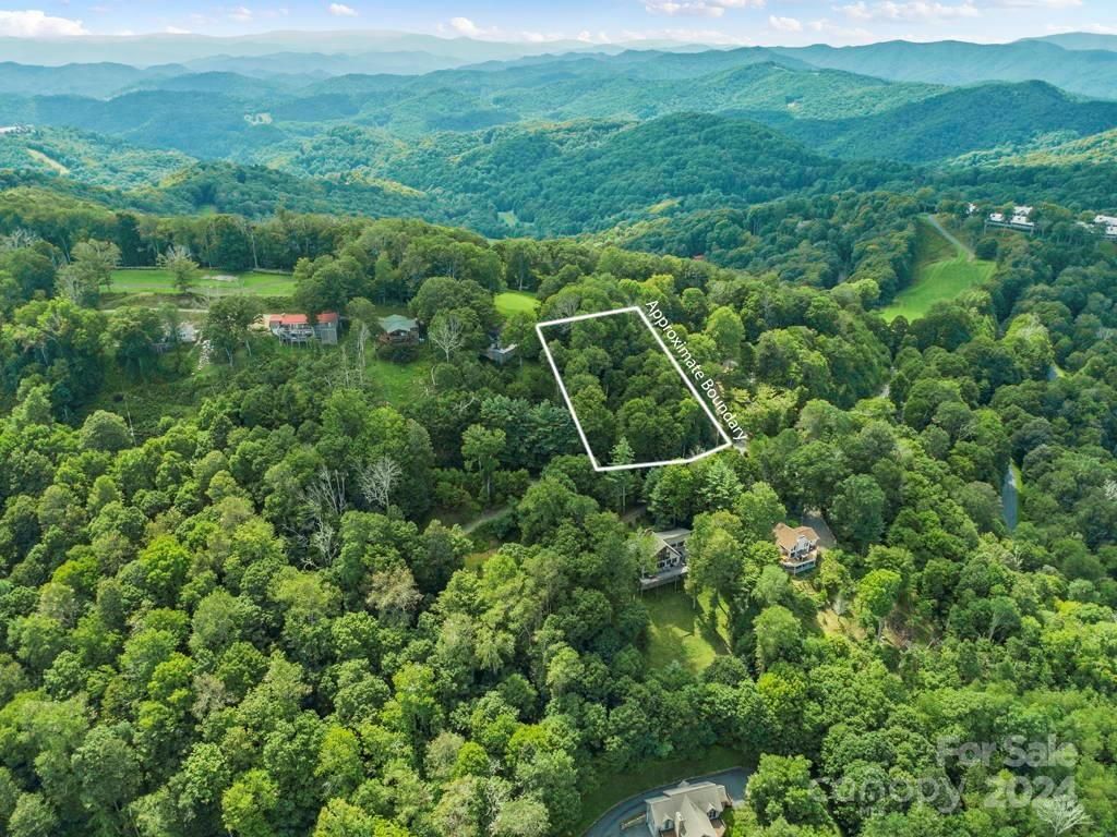 MLS #CAR4126526 image #6