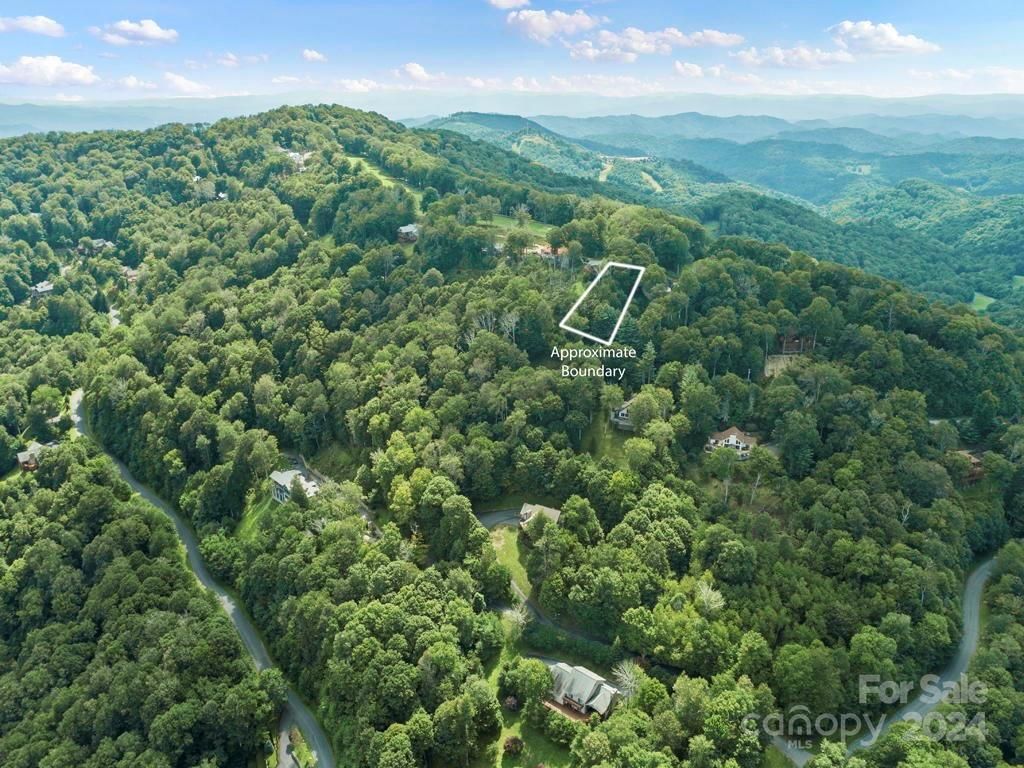 MLS #CAR4126526 image #8