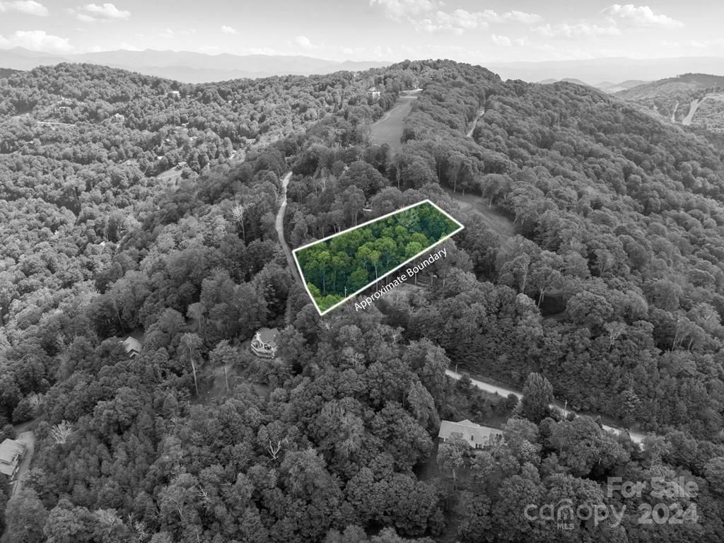 MLS #CAR4126526 image #9