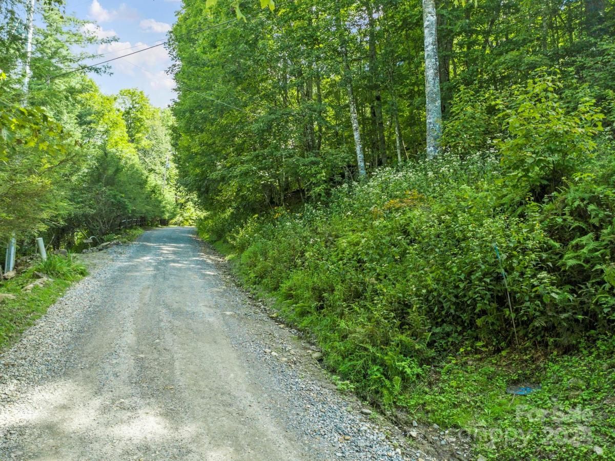 MLS #CAR4126526 image #17