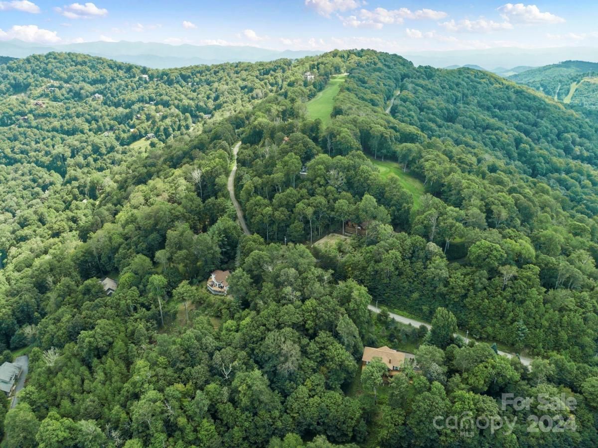 MLS #CAR4126526 image #21