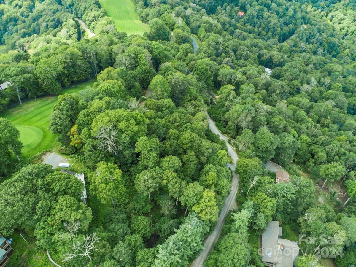 MLS #CAR4126526 image #25