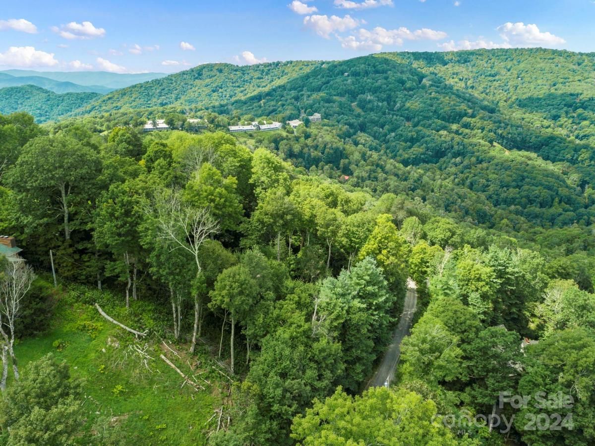 MLS #CAR4126526 image #27