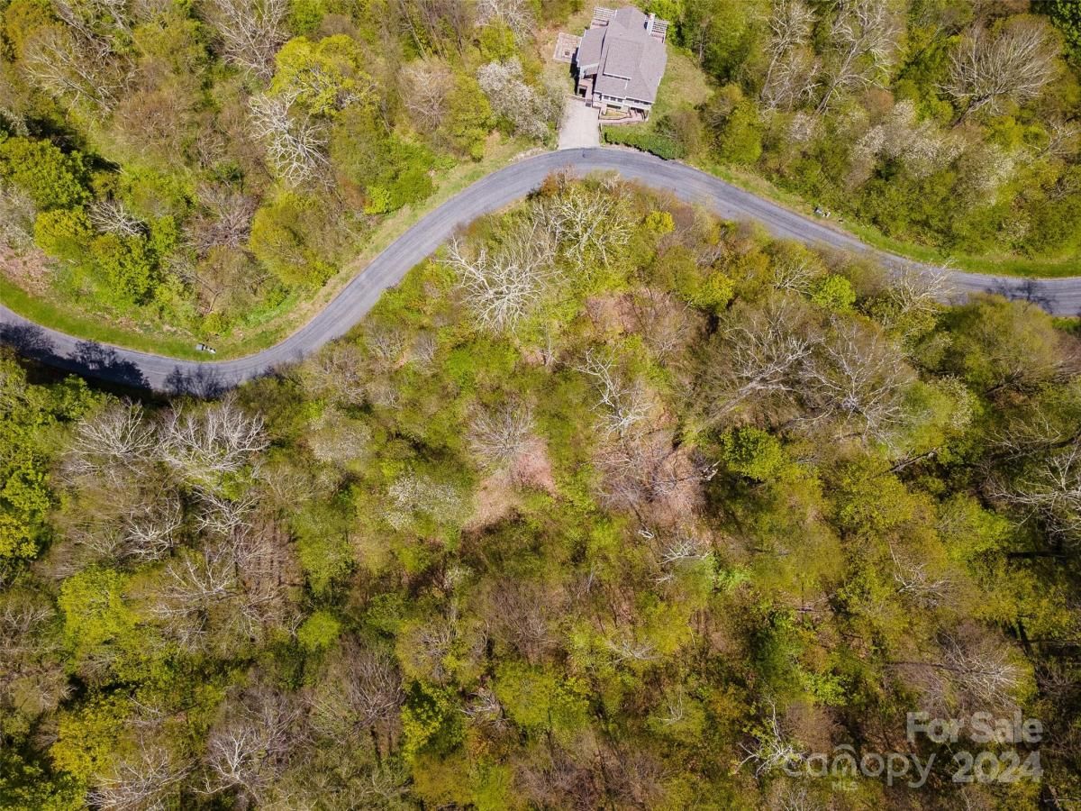 MLS #CAR4126844 image #11